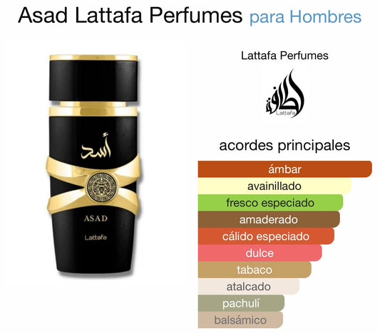 LATTAFA ASAD #146 NICHO