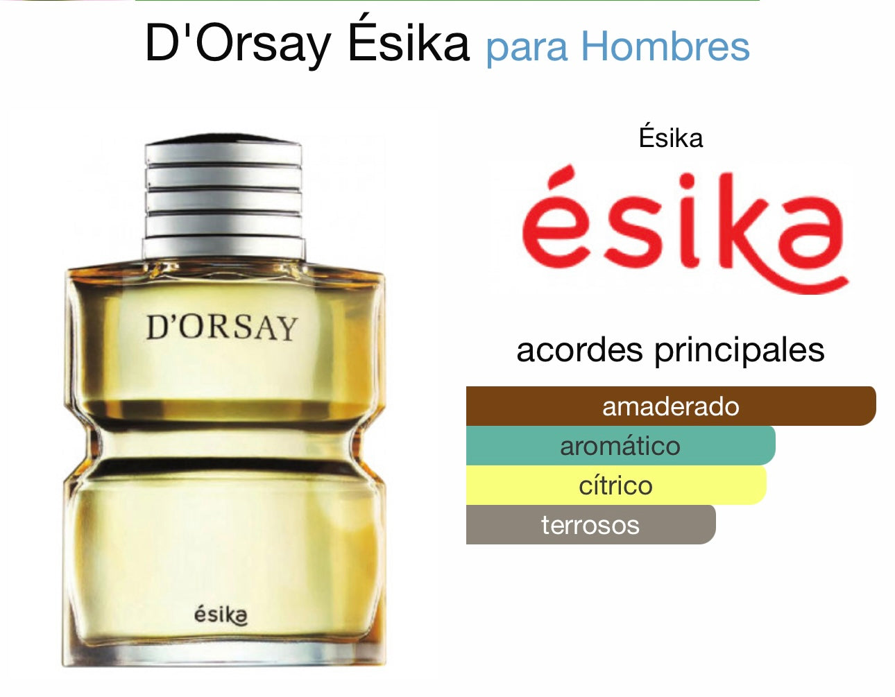 DORSAY ÉSIKA #66 HOMBRE