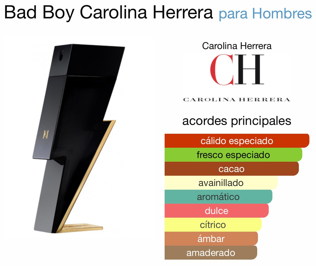 BAD BOY #67 HOMBRE
