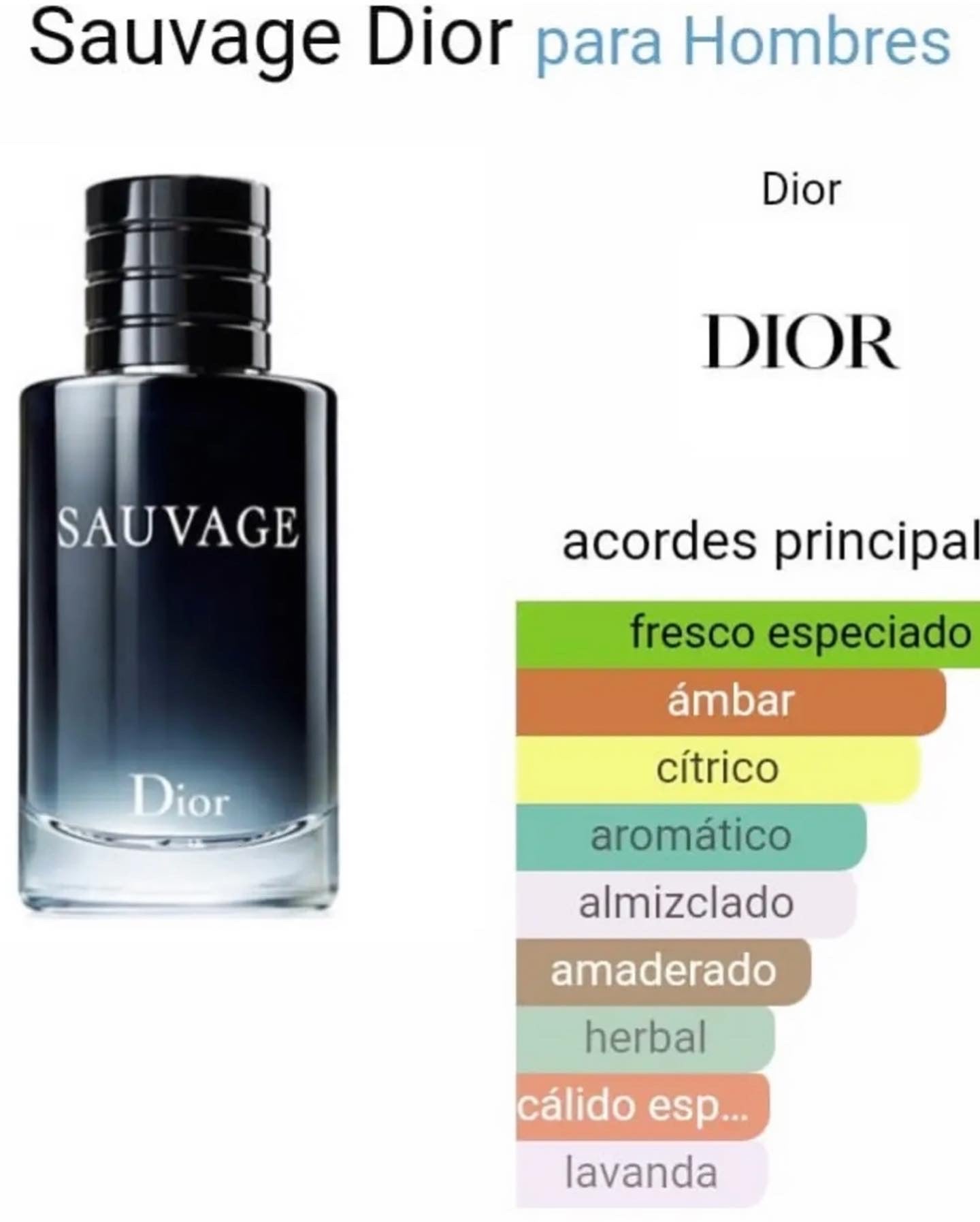 SAUVAGE DIOR #77 HOMBRE