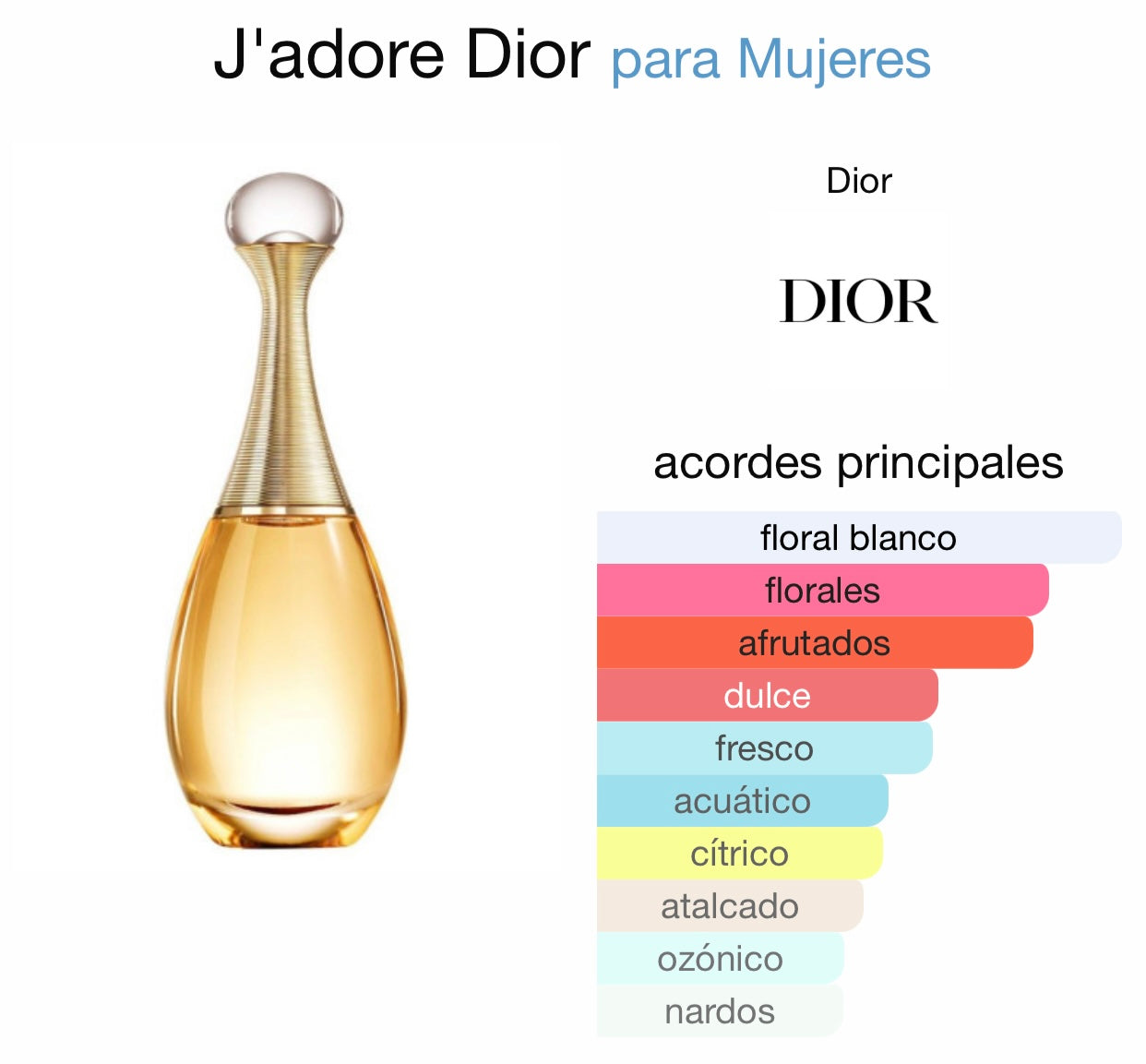 JADORE #25 DAMA